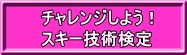 チャレンジしよう！ 国際スキー技術検定 