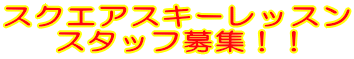 スクエアスキーレッスン スタッフ募集!!