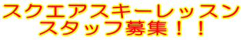 スクエアスキーレッスン スタッフ募集！！ 