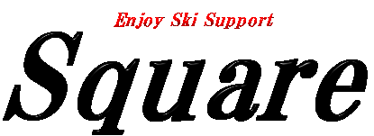 楽しい！上達する！スキースクール スクエアスキーレッスン logo